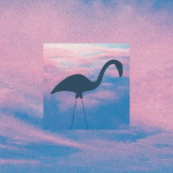 Flamingosis - Riviera